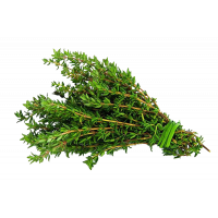 thyme